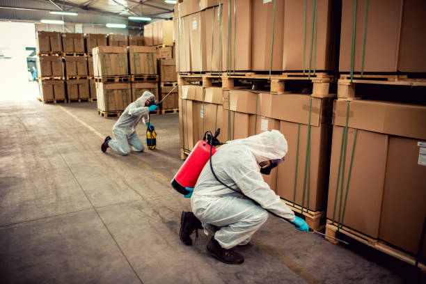Best Pest Control Near Me  in Puget Island, WA