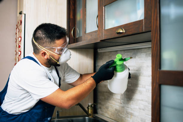 Best Affordable Pest Control Services  in Puget Island, WA