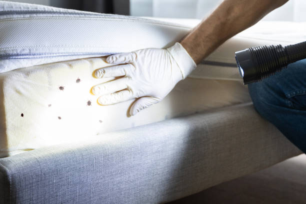 Best Mosquito Control Services  in Puget Island, WA