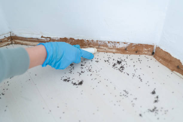 Best Commercial Pest Control Services  in Puget Island, WA