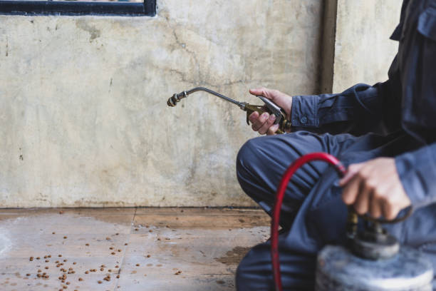 Best Pest Prevention Services  in Puget Island, WA